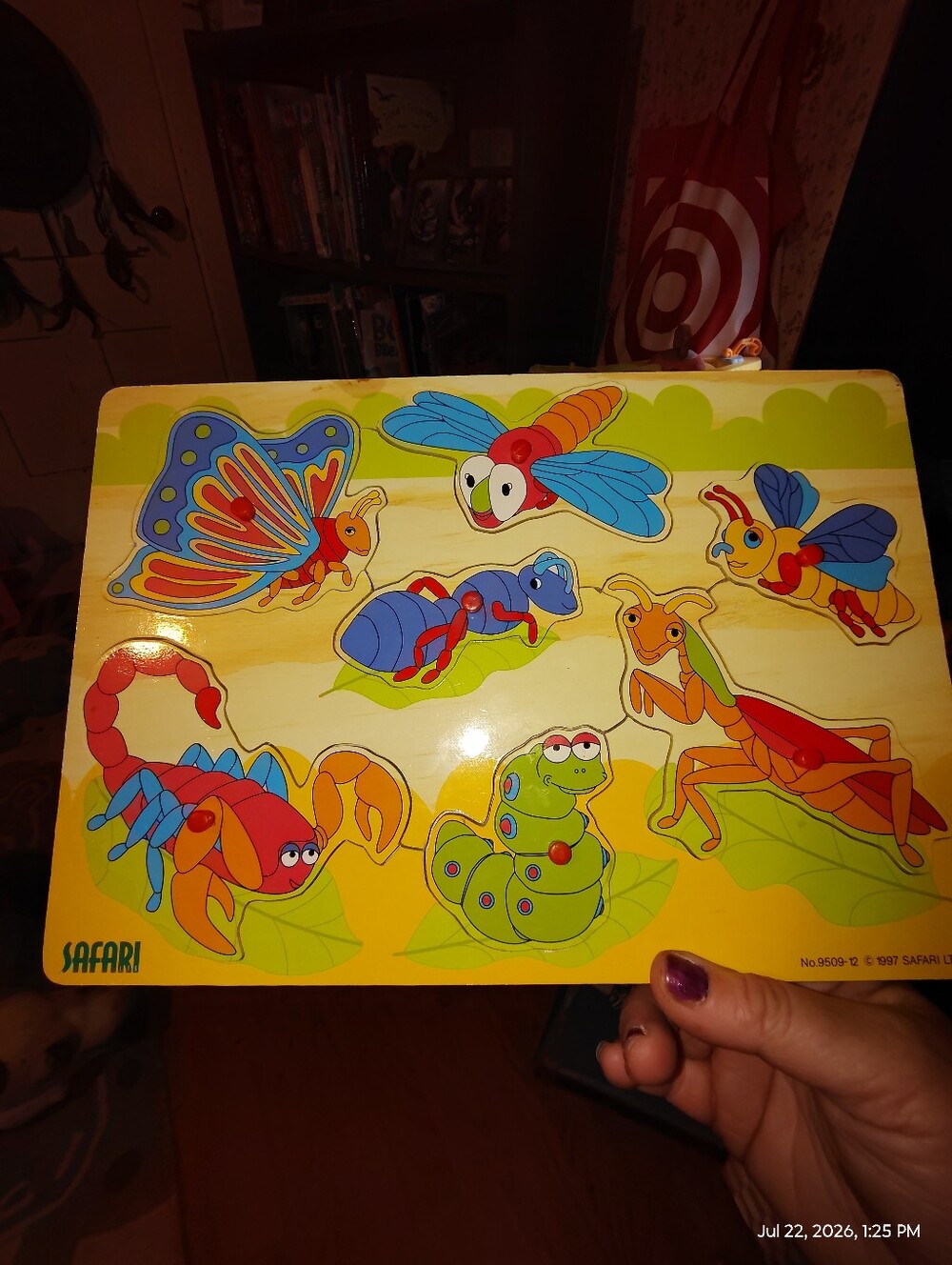 Safari Colorful Insect Wooden Peg Puzzle - Multicolor